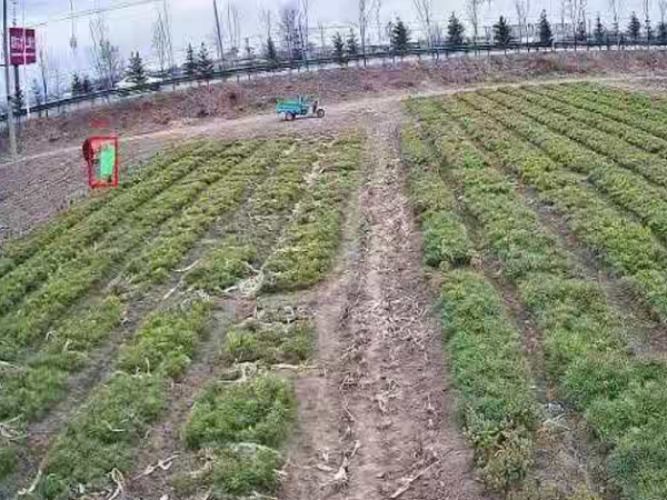 樹苗基地安防監(jiān)控系統(tǒng)怎么樣才安全？來看這里！